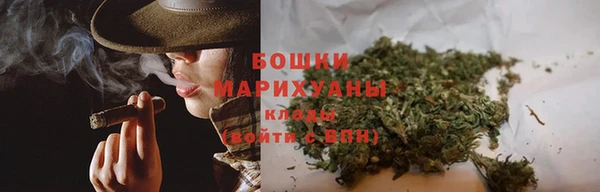 молекула духа Краснослободск
