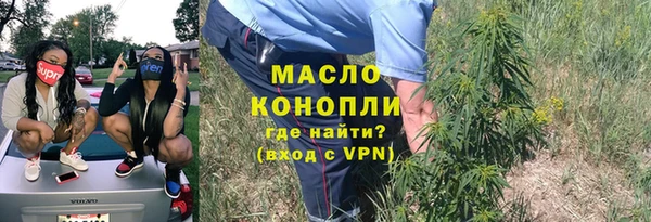 индика Корсаков