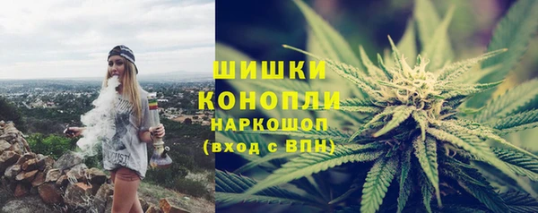 ПСИЛОЦИБИНОВЫЕ ГРИБЫ Коряжма