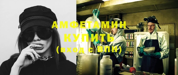 молекула духа Краснослободск