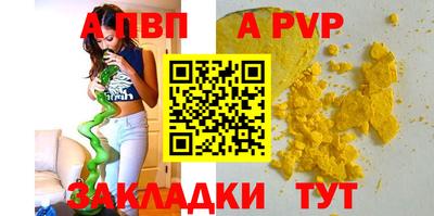 стафф Кингисепп