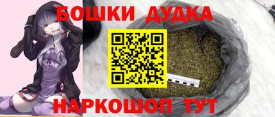 стафф Кингисепп