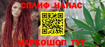 стафф Кингисепп