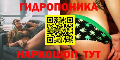 дмт Кинель