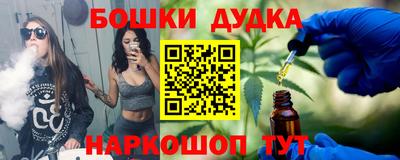 стафф Кингисепп