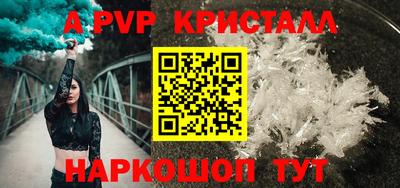 стафф Кингисепп