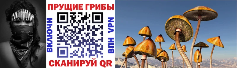 Псилоцибиновые грибы ЛСД наркота Котовск