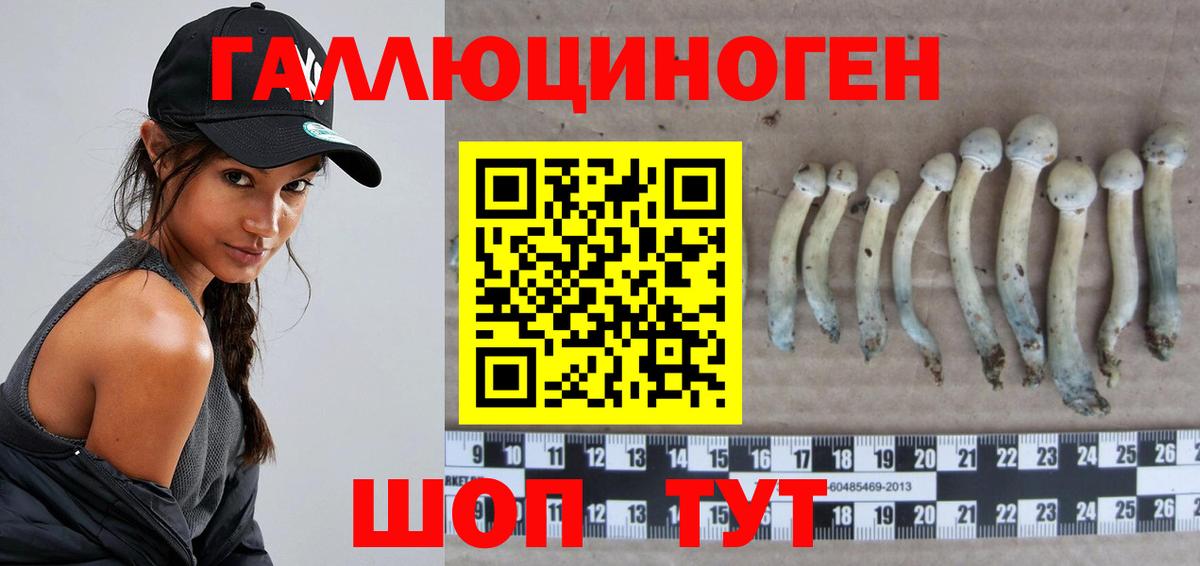 Котовск  Псилоцибиновые грибы MAGIC MUSHROOMS  Вход с VPN  Псилоцибиновые грибы мухоморы 